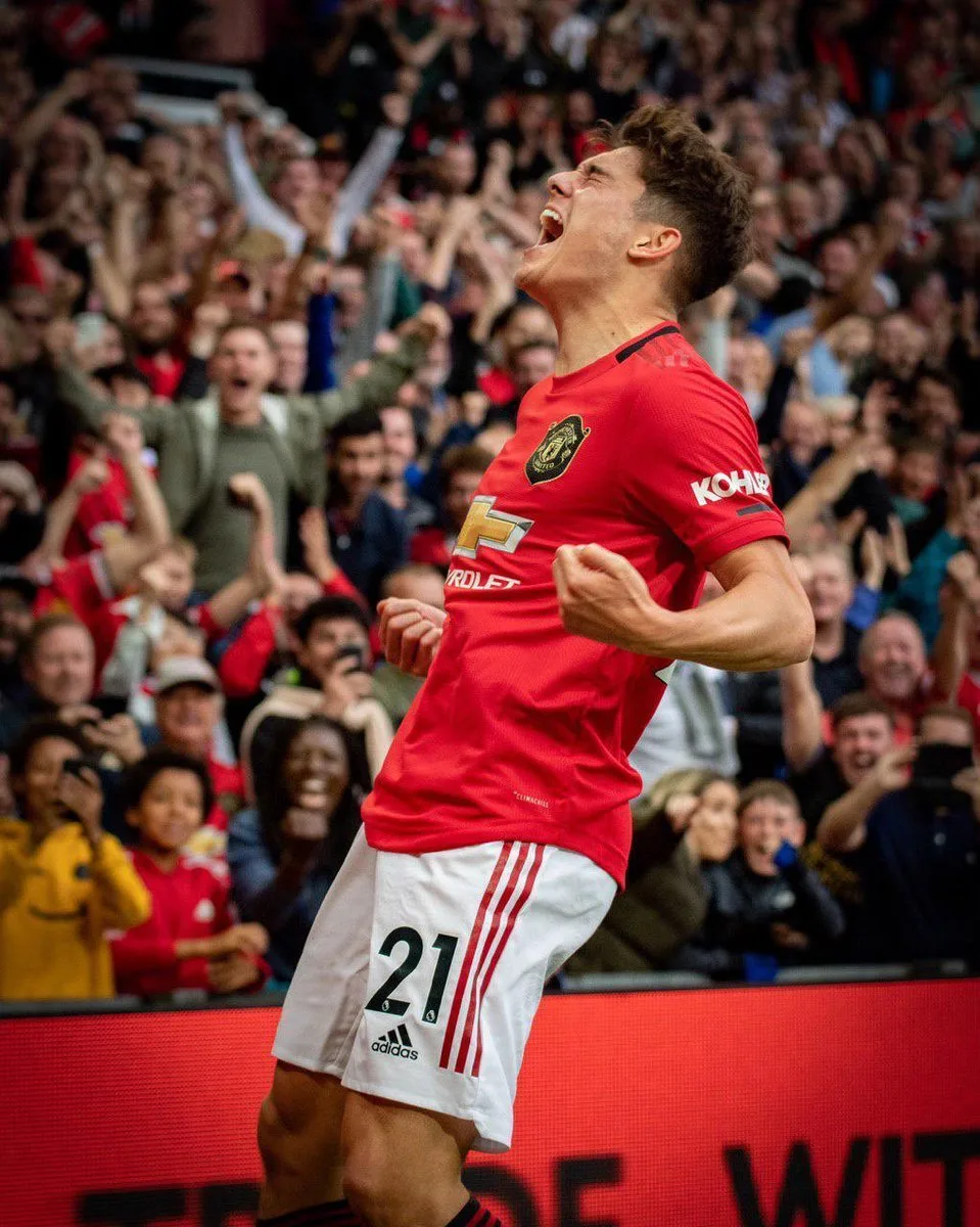 daniel james manchester united